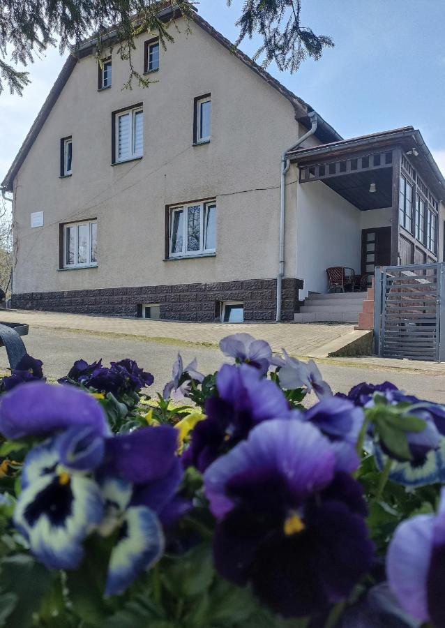 Agroturystyka Nad Bobrem Pilchowice Εξωτερικό φωτογραφία